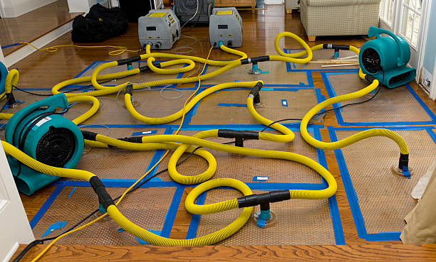 Professional Crawl Space Water Removal technician working in Litchville, ND